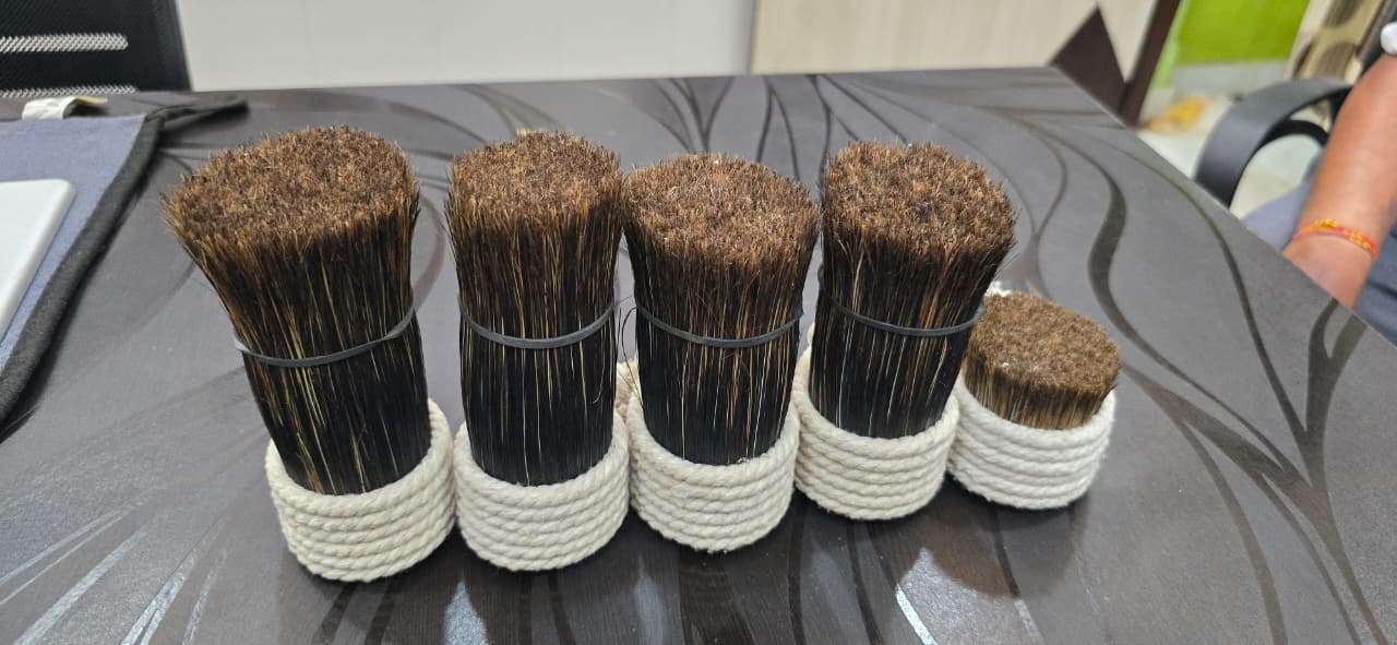 Export Grade Hog Hair